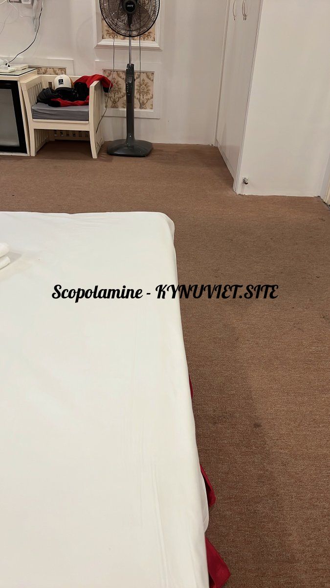 8f2b7269edd937876ec8.jpg