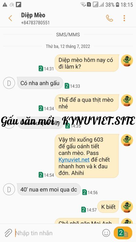 Screenshot_20220712-181512_Messages.jpg